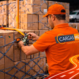 Segurança em Todas as Etapas